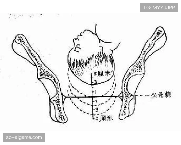 篮下干扰球是什么？规则定义与判定要点解析